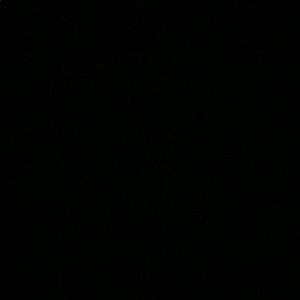 Meet your Posher, Alondra